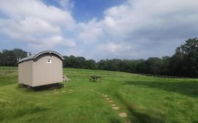 Molly Dishwasher Shepherds Hut